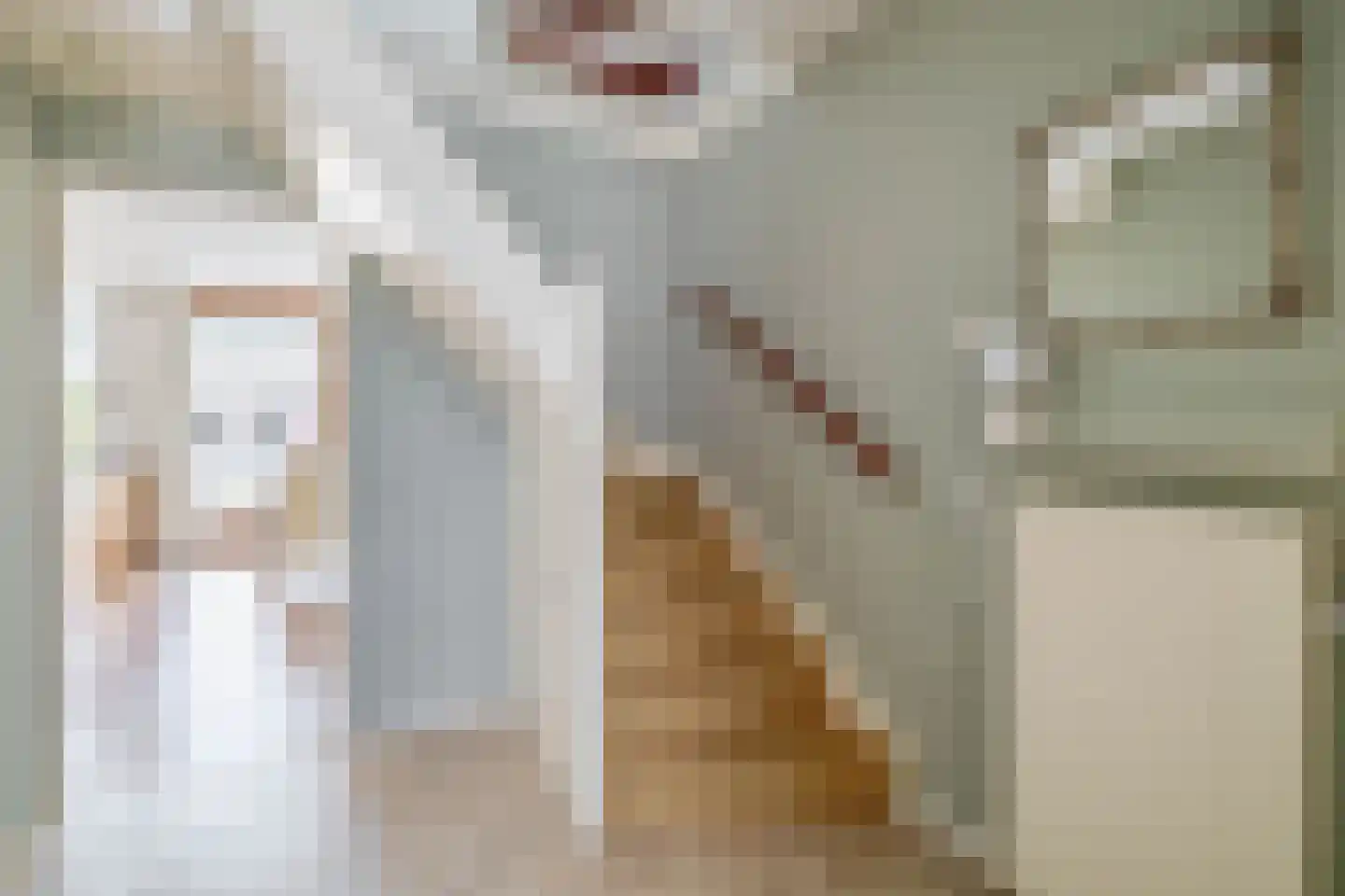 Frans Halsstraat 69 Lisse thumbnail 10