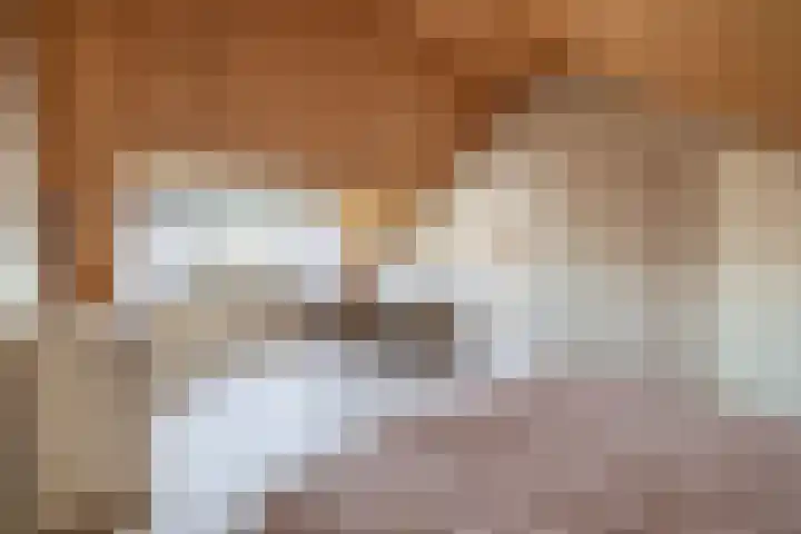 Frans Halsstraat 69 Lisse thumbnail 22
