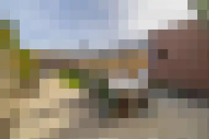 Frans Halsstraat 69 Lisse thumbnail 23