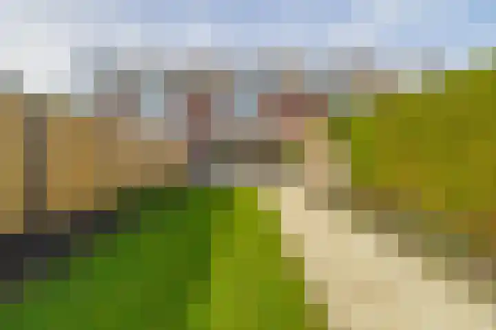 Frans Halsstraat 69 Lisse thumbnail 30