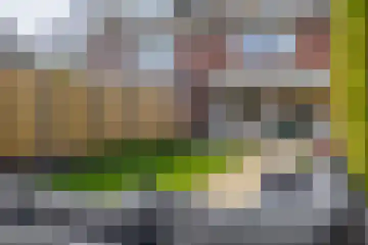 Frans Halsstraat 69 Lisse thumbnail 31