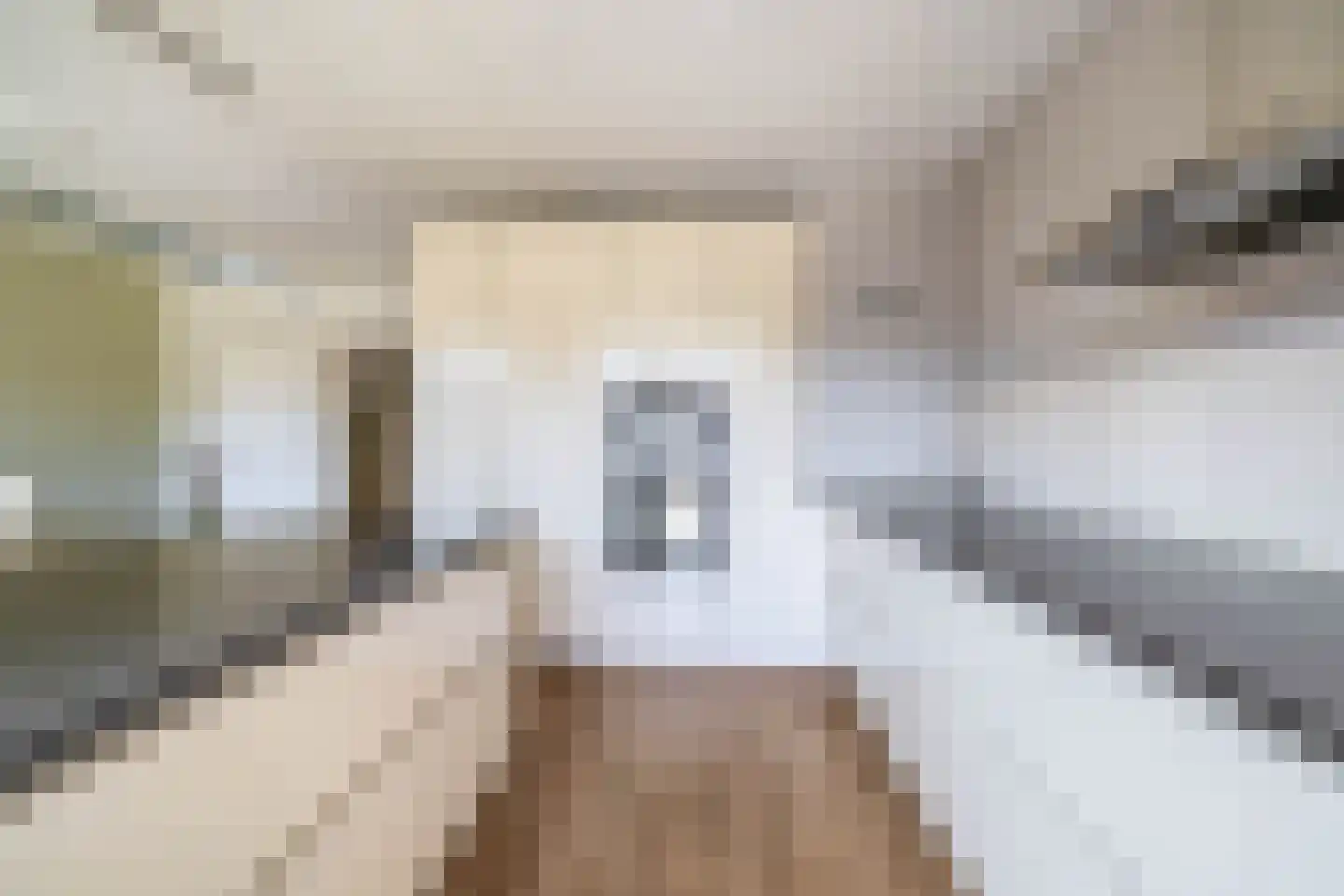 Frans Halsstraat 69 Lisse thumbnail 4