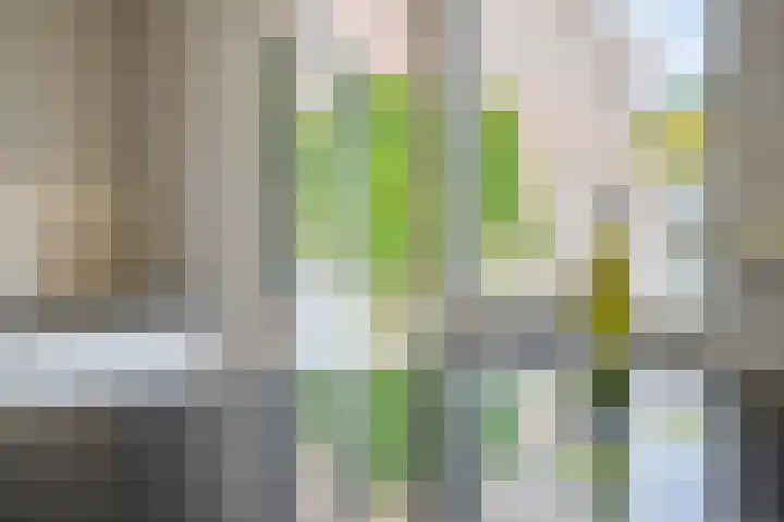 Frans Halsstraat 69 Lisse thumbnail 7