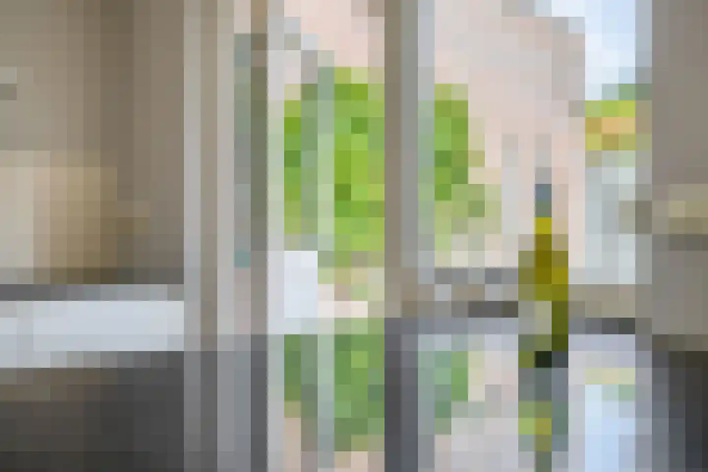 Frans Halsstraat 69 Lisse thumbnail 7