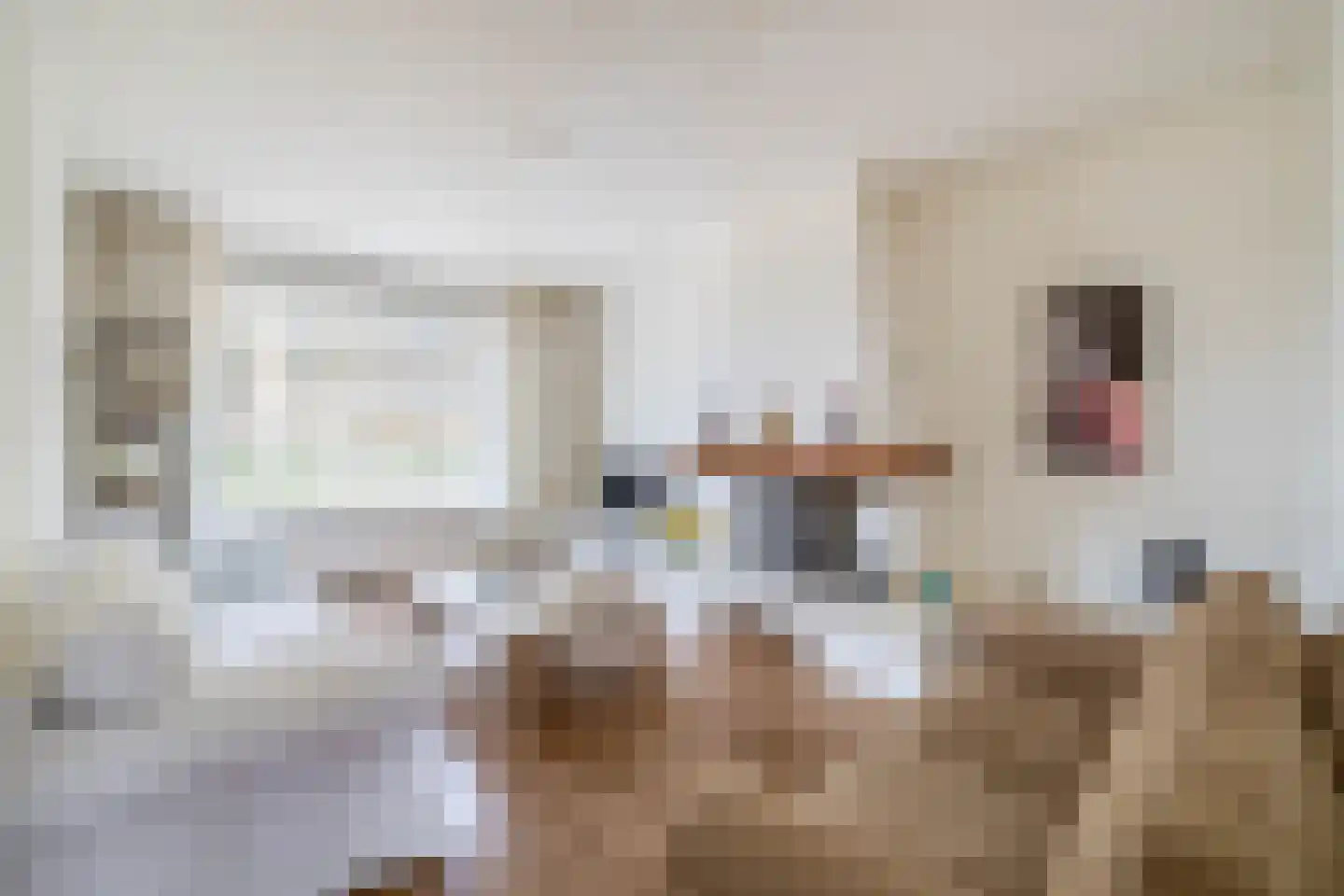 Frans Halsstraat 69 Lisse thumbnail 8