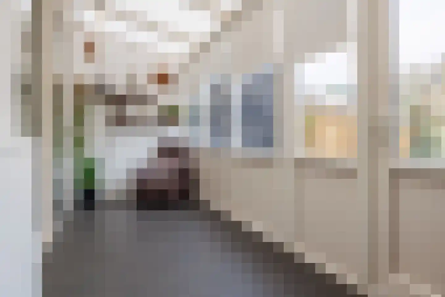 Frans Halsstraat 7 Bergen L thumbnail 16