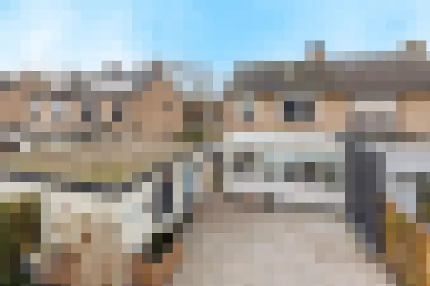 Frans Halsstraat 7 Bergen L thumbnail 34