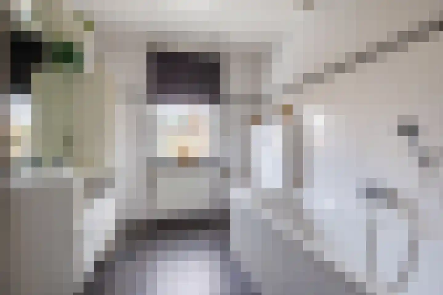 Frans Halsstraat 7 Bergen L thumbnail 4