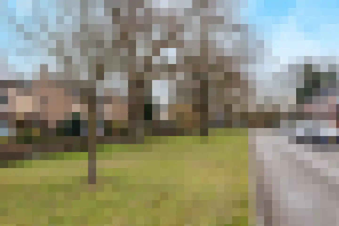 Frans Halsstraat 7 Bergen L thumbnail 48