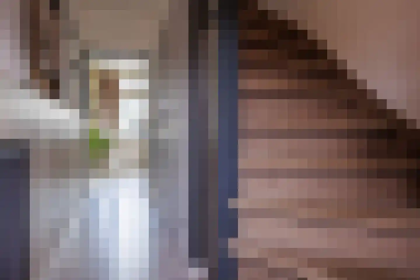 Frans Halsstraat 7 Bergen L thumbnail 6