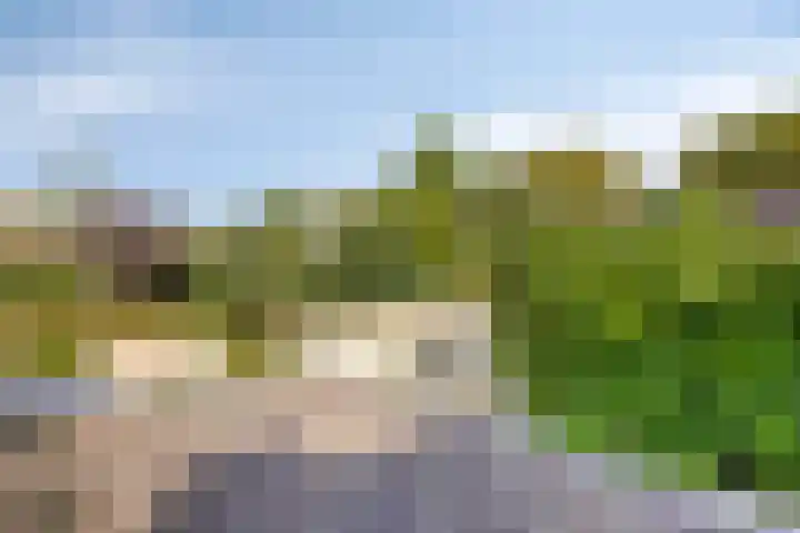 Frans Halsstraat 7 Heerhugowaard thumbnail 36