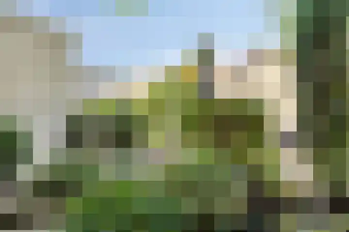 Frans Halsstraat 7 Heerhugowaard thumbnail 46