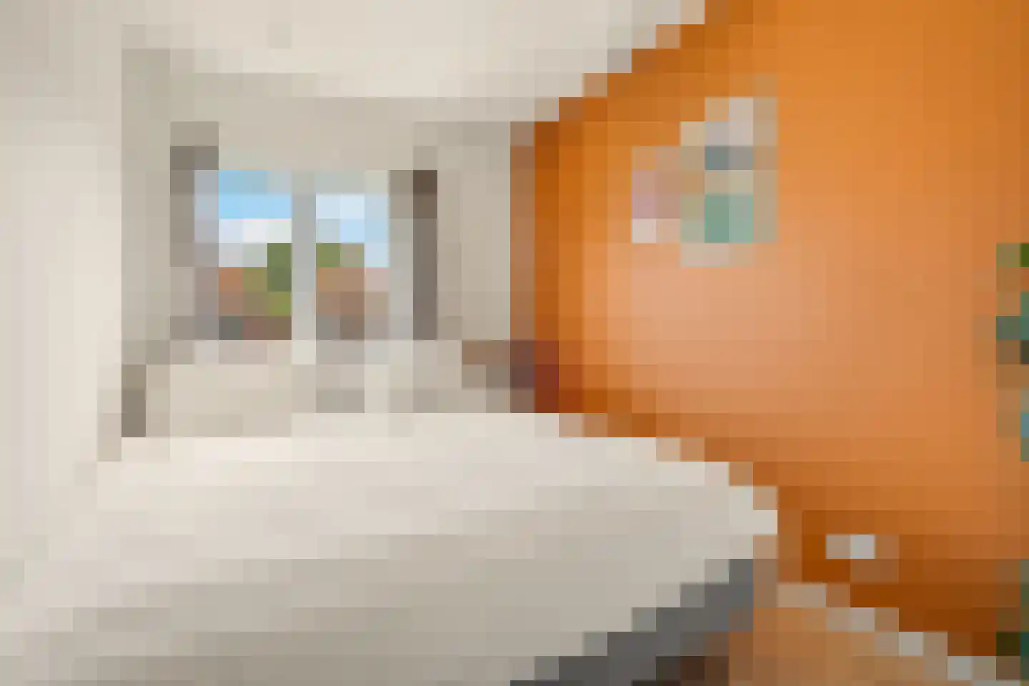 Frans Halsstraat 7 Zaandam thumbnail 25