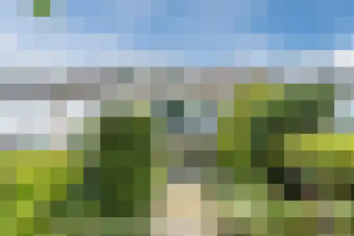 Frans Halsstraat 71 Oud-Beijerland thumbnail 26