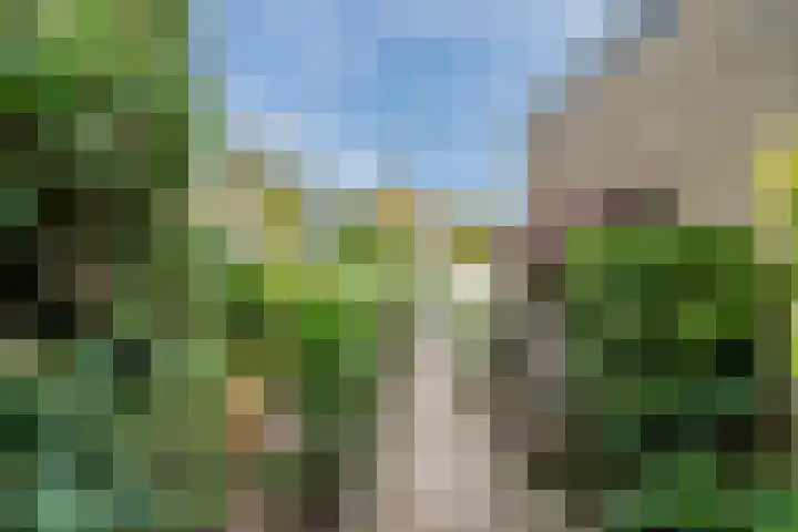 Frans Halsstraat 71 Oud-Beijerland thumbnail 4