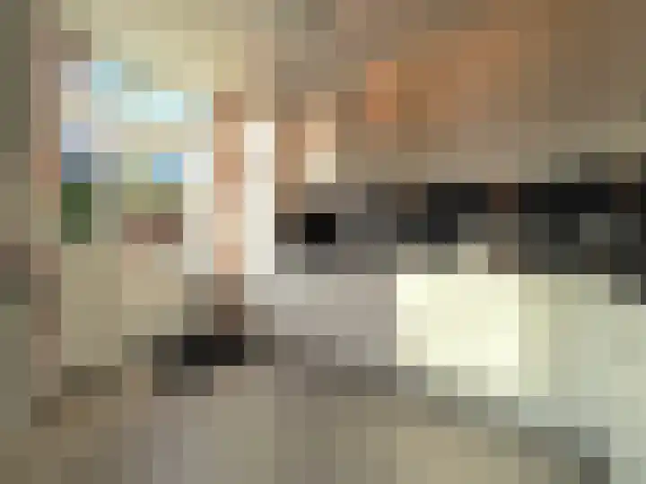 Frans Halsstraat 72 Papendrecht thumbnail 21