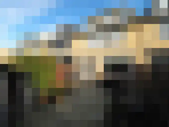 Frans Halsstraat 72 Papendrecht thumbnail 45