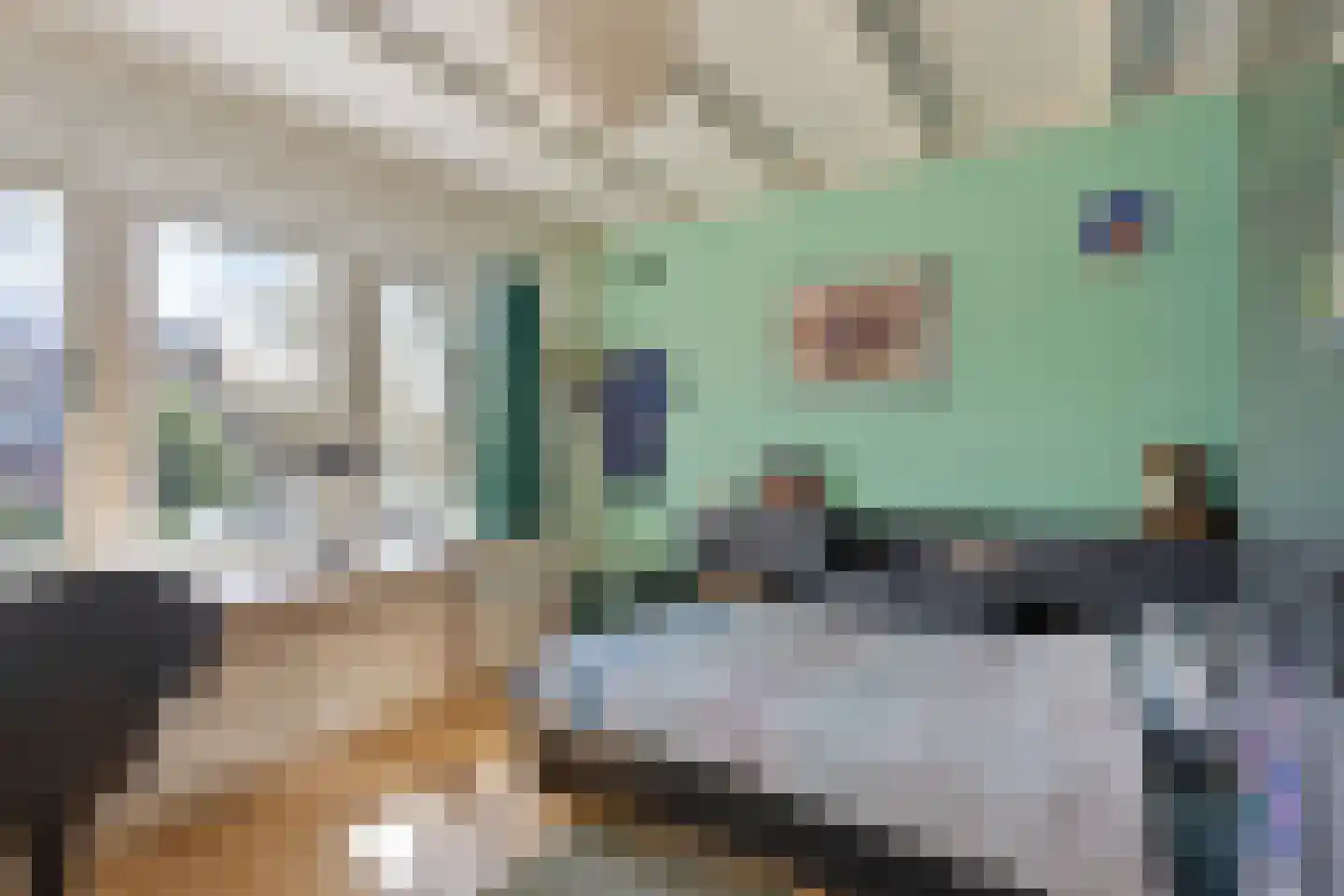 Frans Halsstraat 72 Zaandam thumbnail 20