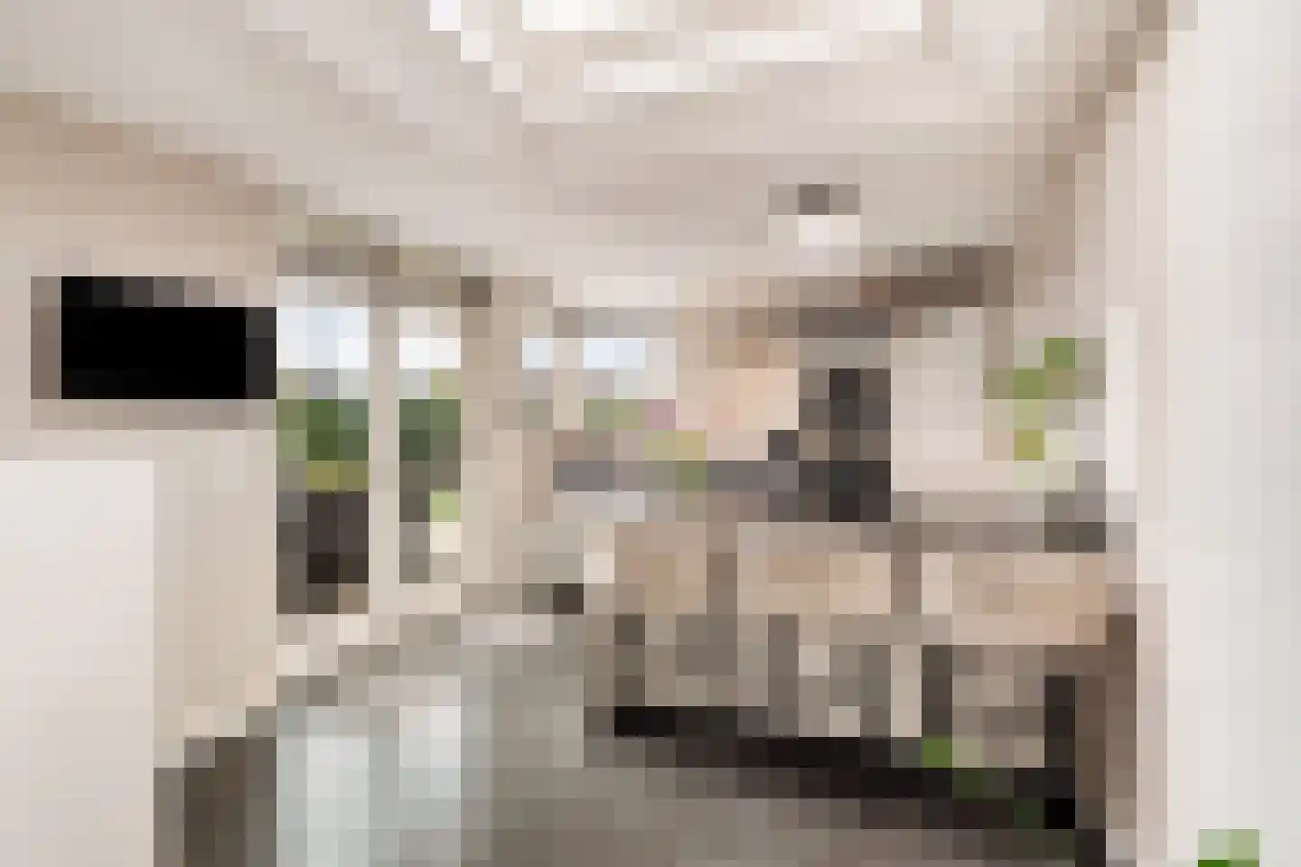 Frans Halsstraat 79 Schagen thumbnail 18
