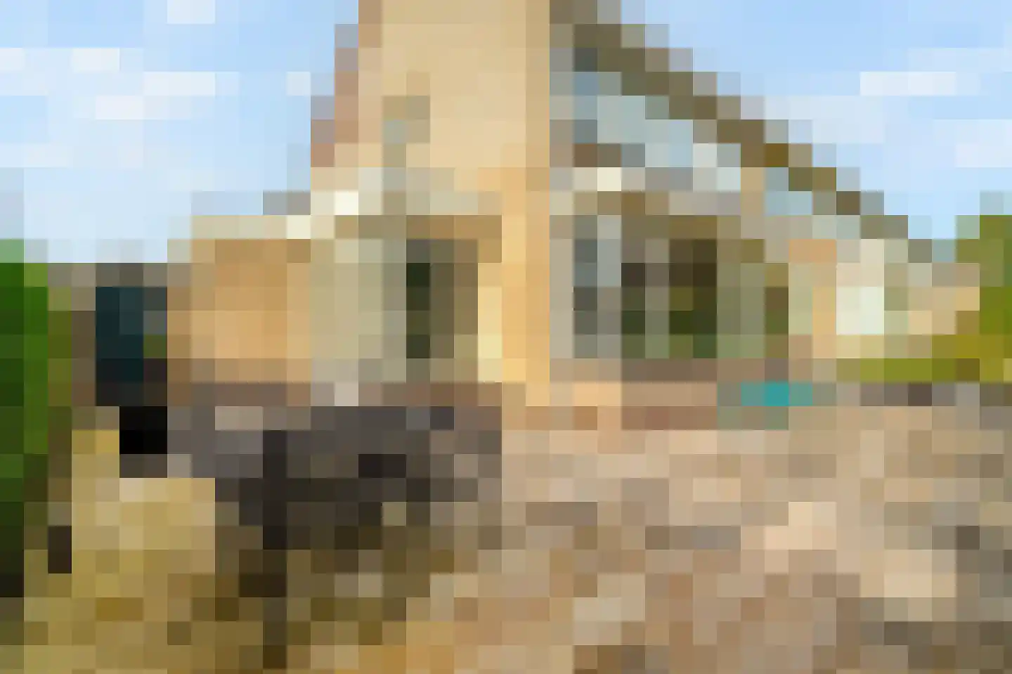 Frans Halsstraat 79 Schagen thumbnail 46
