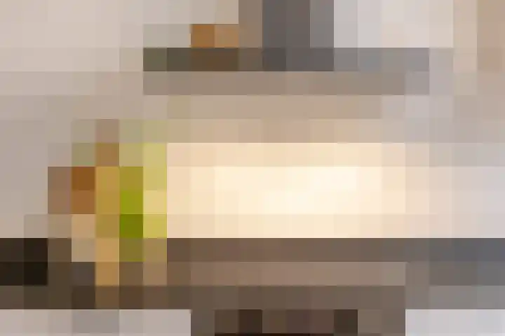 Frans Halsstraat 8 Hardinxveld-Giessendam thumbnail 9