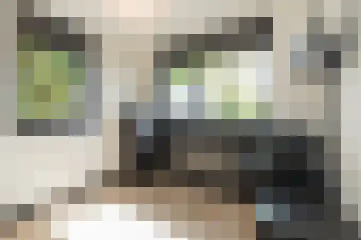 Frans Halsstraat 8 Lisse thumbnail 25