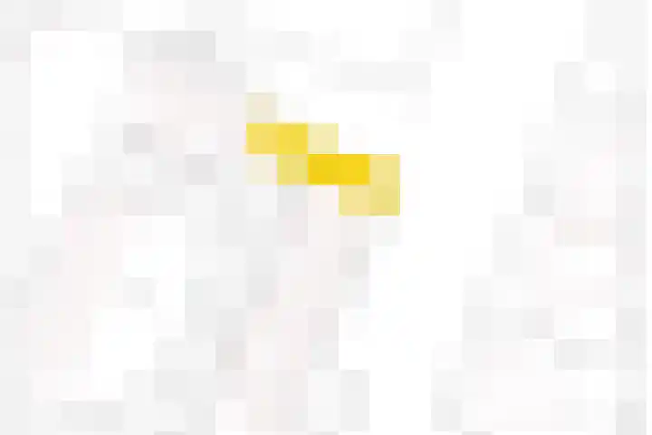 Frans Halsstraat 8 Lisse thumbnail 37