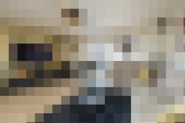 Frans Halsstraat 8 Lisse thumbnail 6