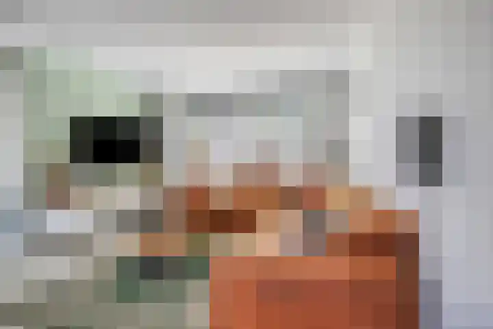 Frans Halsstraat 8 Vinkel thumbnail 13