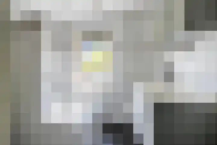 Frans Halsstraat 8 Vinkel thumbnail 25
