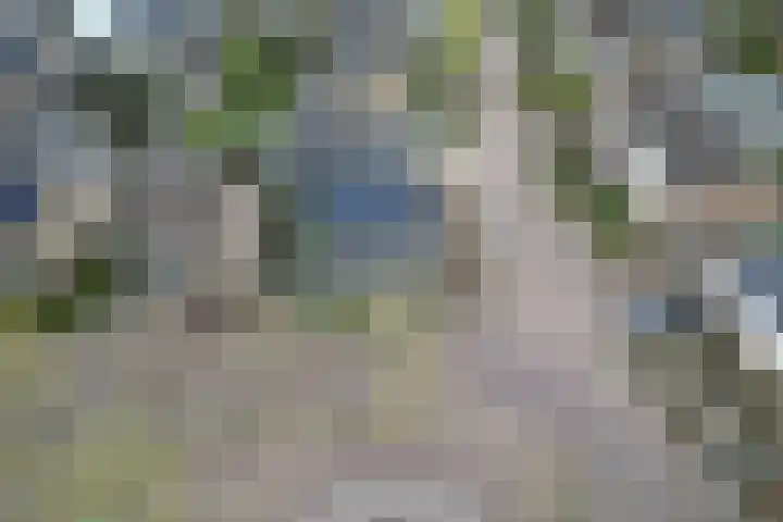 Frans Halsstraat 8 Vinkel thumbnail 37