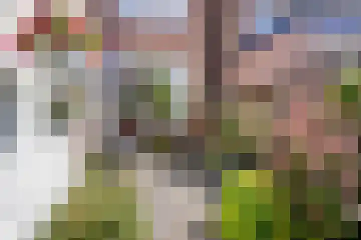 Frans Halsstraat 8 Zaandam thumbnail 13