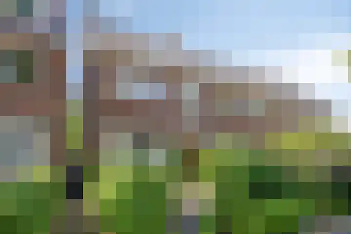 Frans Halsstraat 8 Zaandam thumbnail 53