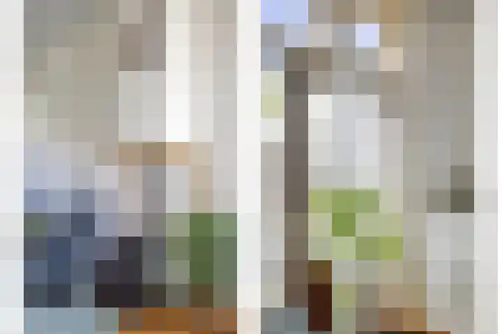 Frans Halsstraat 8 Zaandam thumbnail 6
