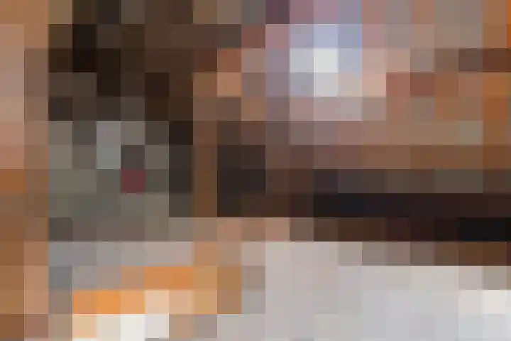 Frans Halsstraat 81 Schagen thumbnail 37