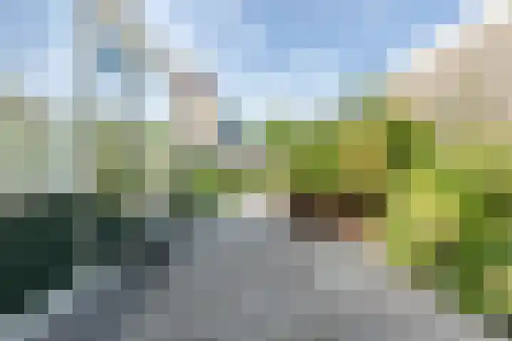 Frans Halsstraat 81 Schagen thumbnail 42