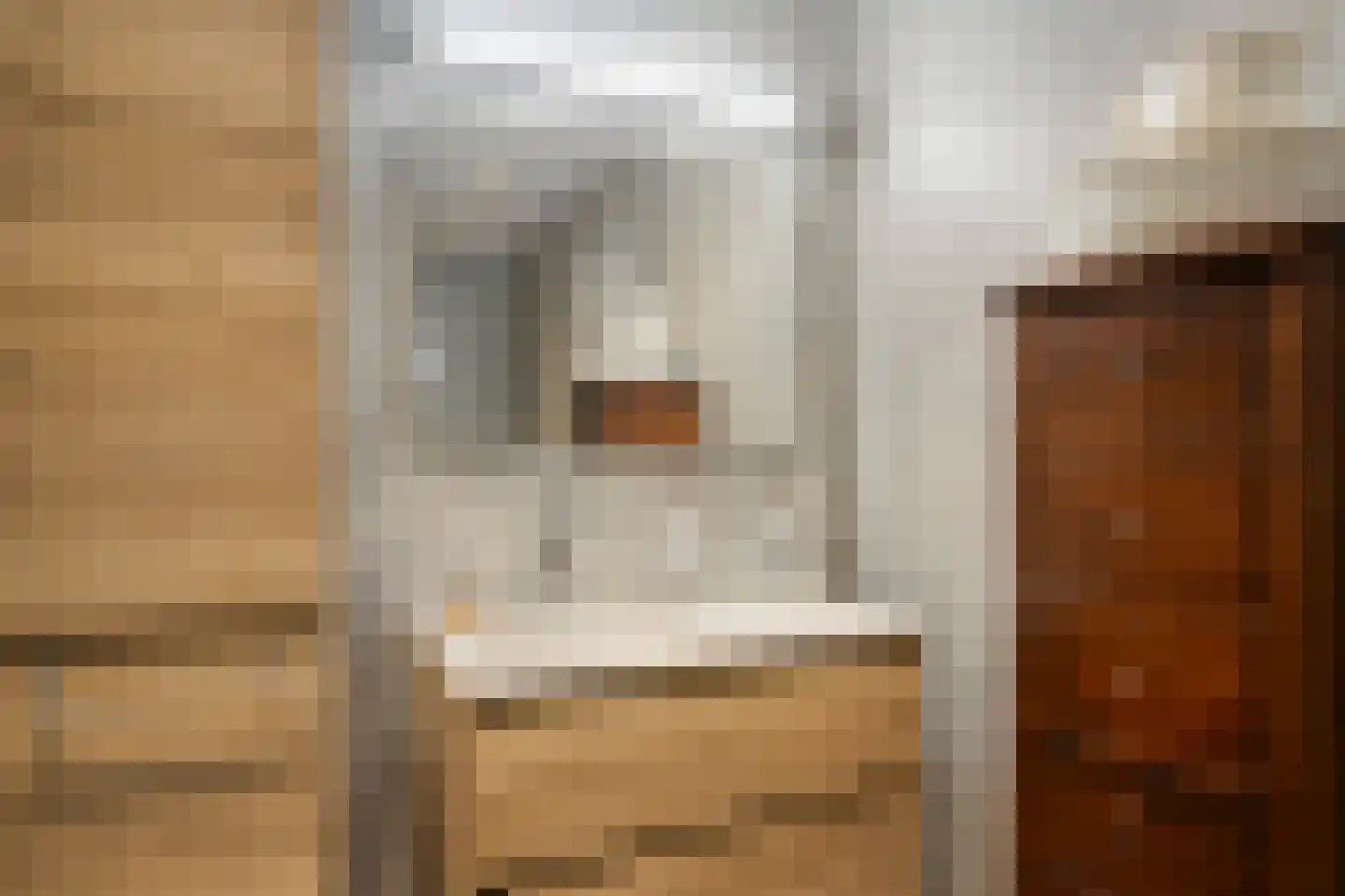 Frans Halsstraat 82 Dongen thumbnail 29