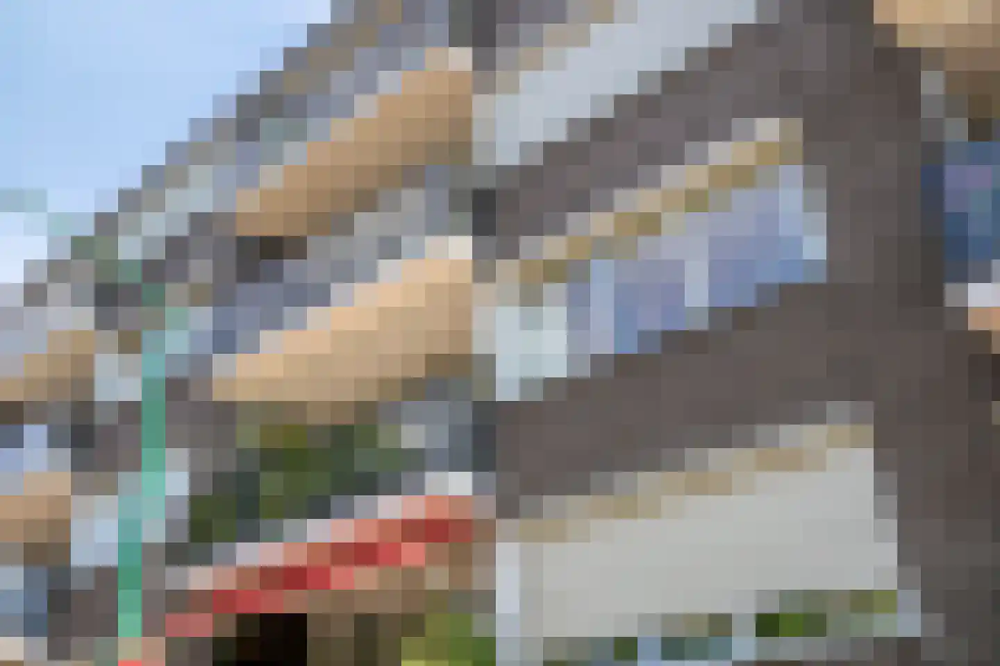 Frans Halsstraat 82 Dongen thumbnail 7