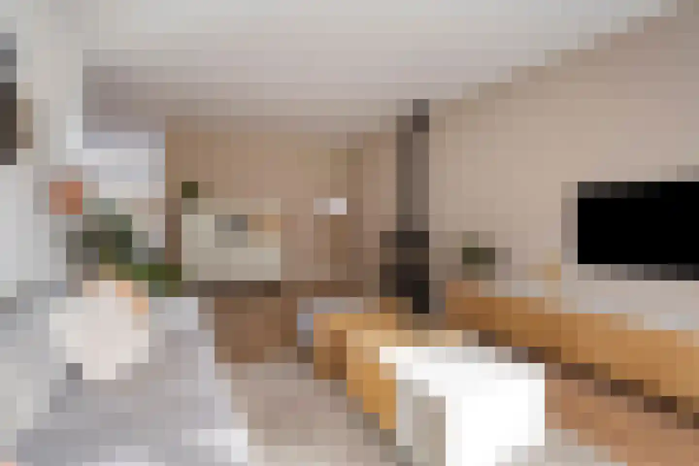 Frans Halsstraat 82 Voorthuizen thumbnail 10