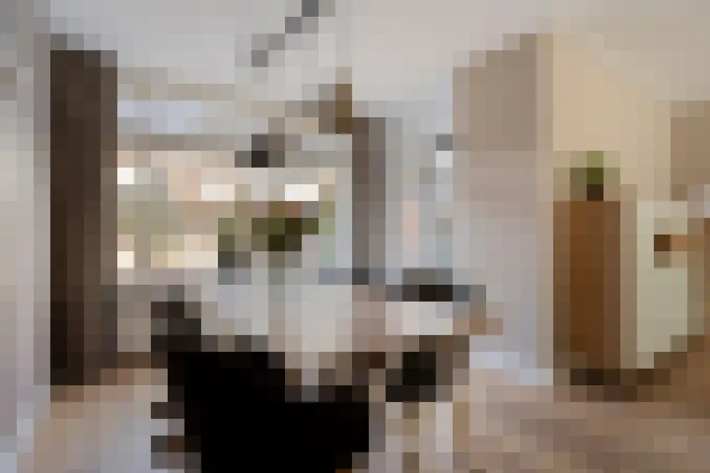 Frans Halsstraat 82 Voorthuizen thumbnail 14