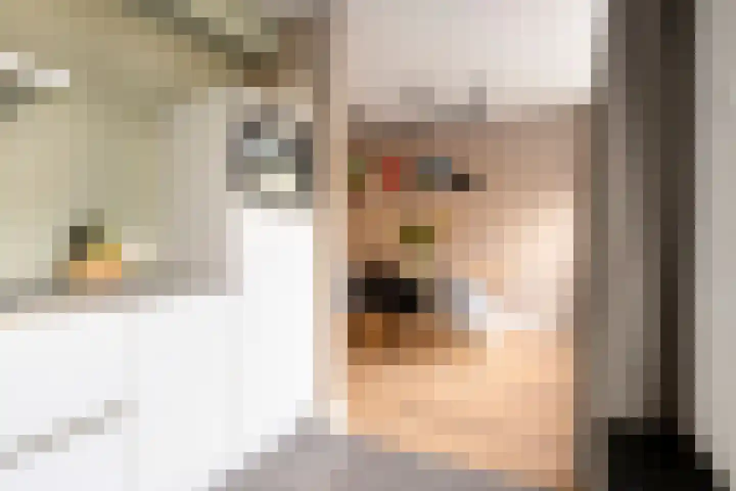 Frans Halsstraat 82 Voorthuizen thumbnail 17