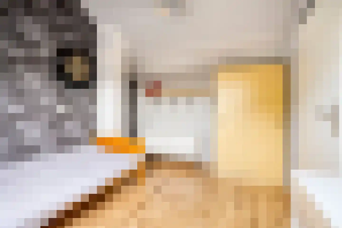 Frans Halsstraat 82 Voorthuizen thumbnail 30