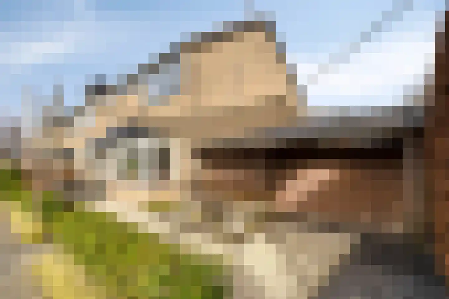 Frans Halsstraat 82 Voorthuizen thumbnail 4