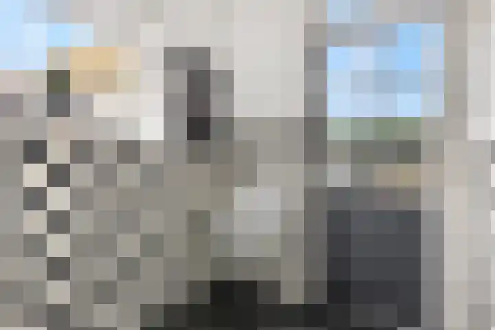 Frans Halsstraat 84 Voorthuizen thumbnail 17