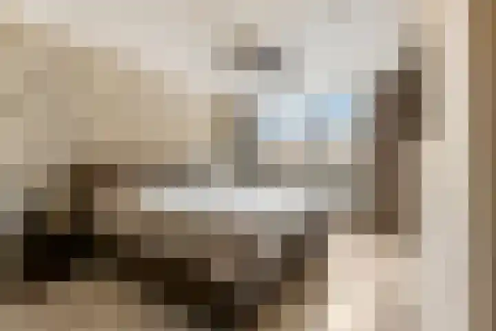 Frans Halsstraat 84 Voorthuizen thumbnail 20