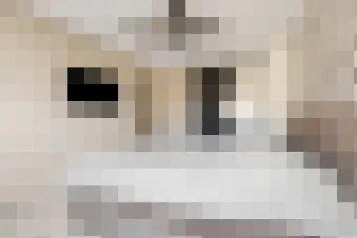 Frans Halsstraat 84 Voorthuizen thumbnail 21