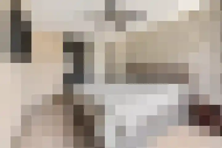 Frans Halsstraat 84 Voorthuizen thumbnail 22