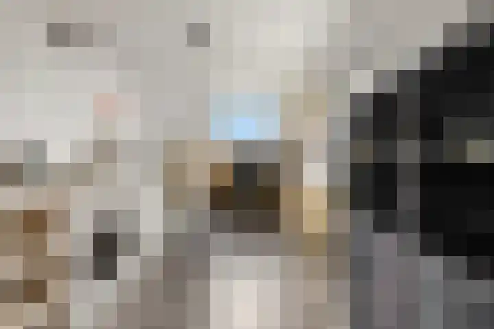 Frans Halsstraat 84 Voorthuizen thumbnail 31