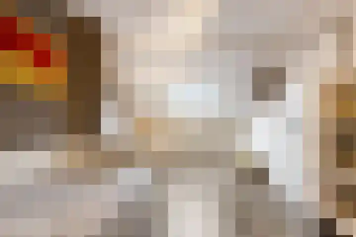 Frans Halsstraat 84 Voorthuizen thumbnail 33