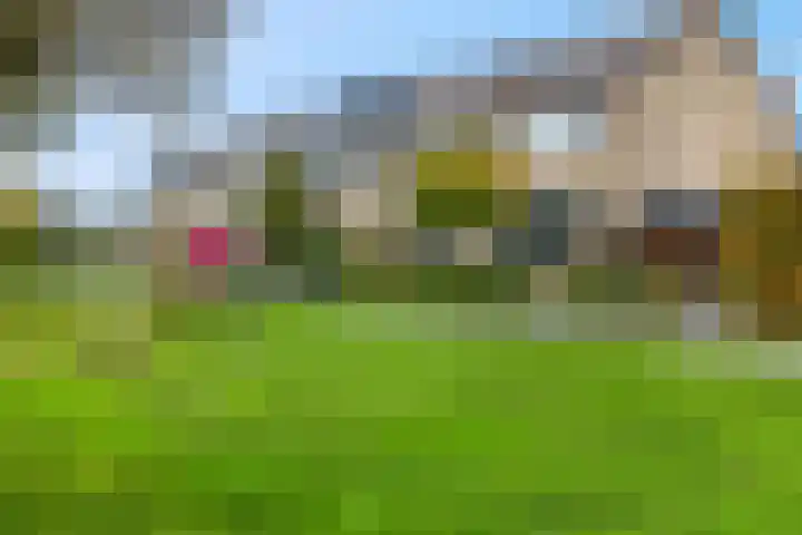 Frans Halsstraat 84 Voorthuizen thumbnail 37